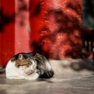 日韩人妻精品一区二区三区
