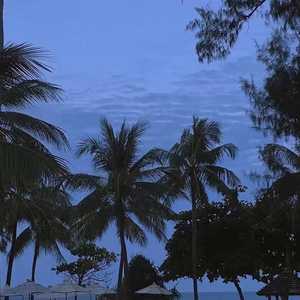 日韩人妻精品一区二区三区
