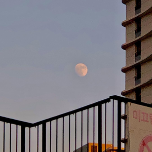 日韩人妻精品一区二区三区
