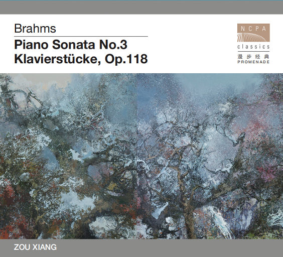 日韩人妻精品一区二区三区
